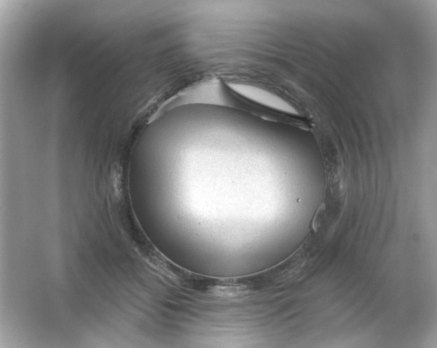 X0000065970556200603241916