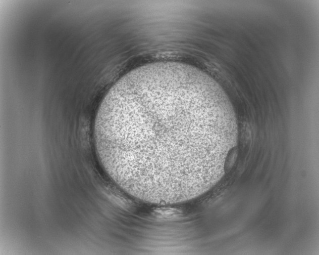 X0000065970557200603241916