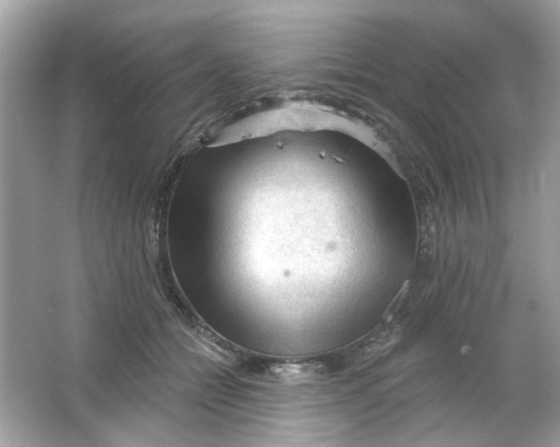 X0000065970558200603241916