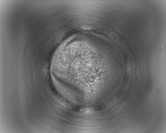 X0000065970559200603241916