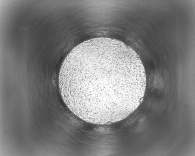 X0000065970561200603241916