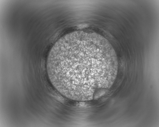 X0000065970565200603241916