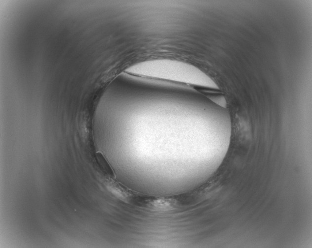 X0000065970566200603241916