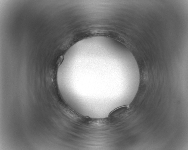 X0000065970567200603241916