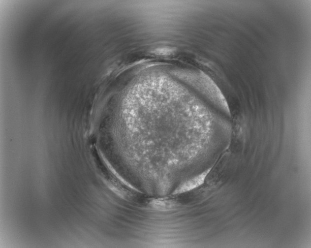 X0000065970568200603241916