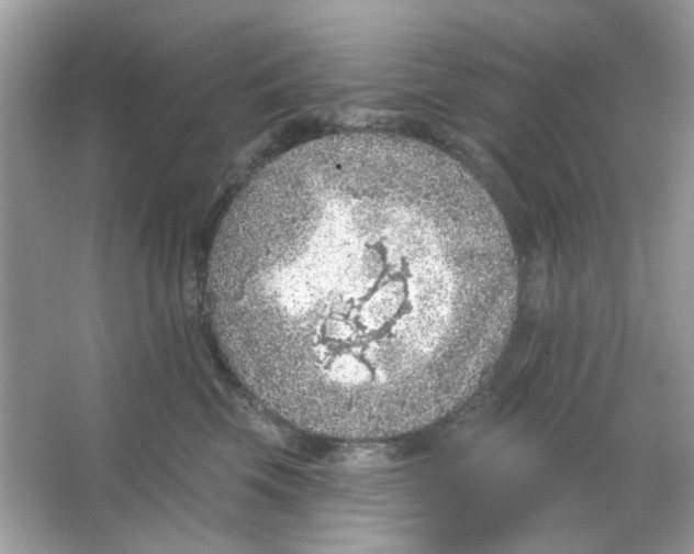 X0000065970569200603241916