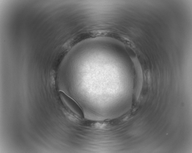 X0000065970570200603241916