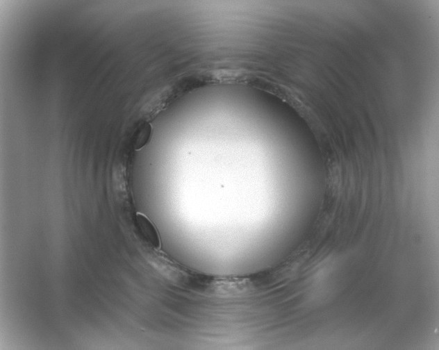 X0000065970571200603241916