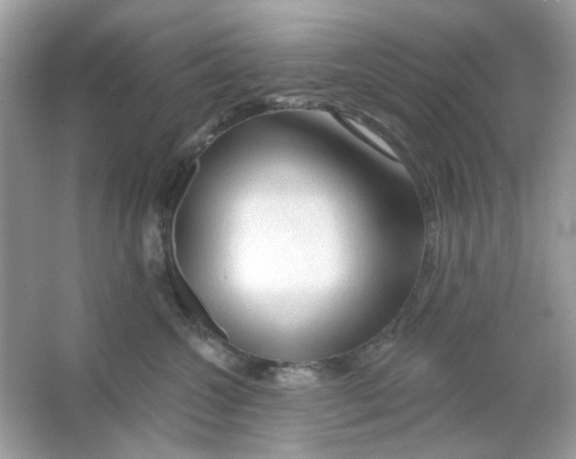 X0000065970572200603241916