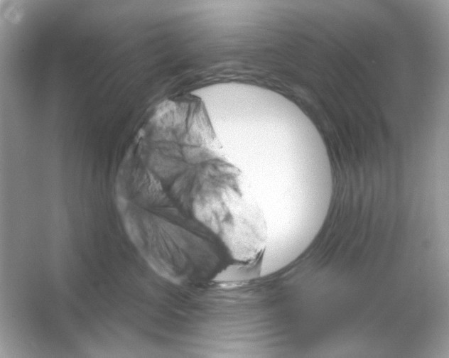 X0000065970573200603241916