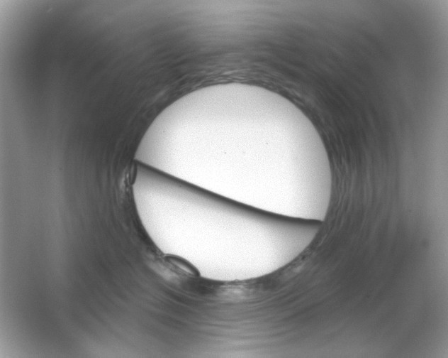 X0000065970574200603241916