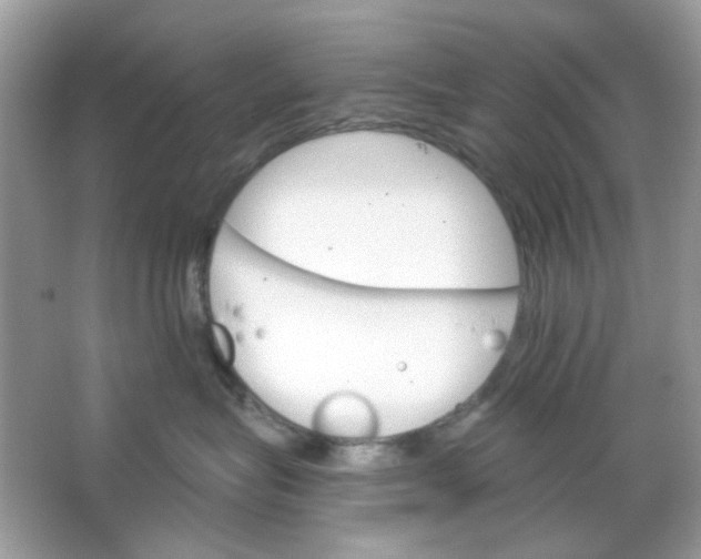 X0000065970575200603241916