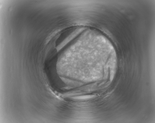 X0000065970577200603241915