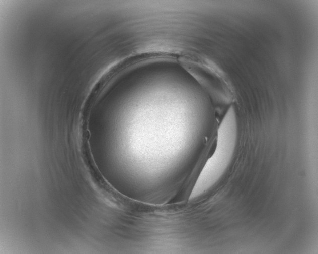 X0000065970580200603241915