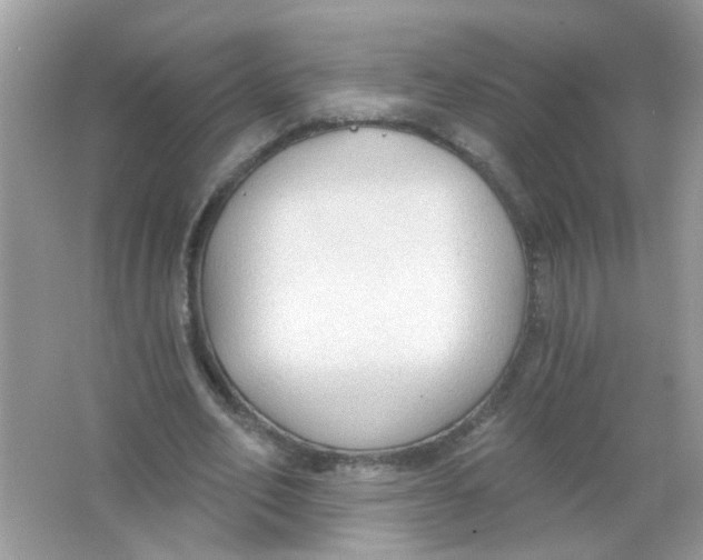 X0000065970582200603241915