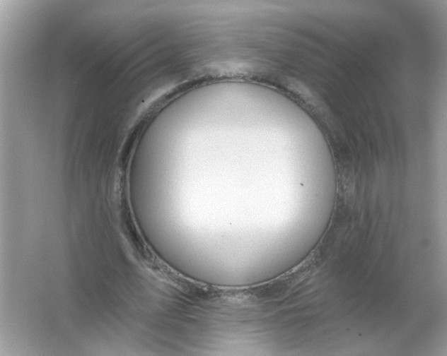 X0000065970583200603241915