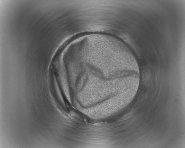 X0000065970584200603241915