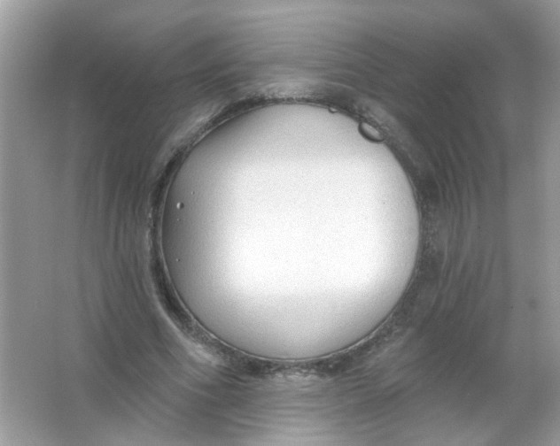 X0000065970586200603241915