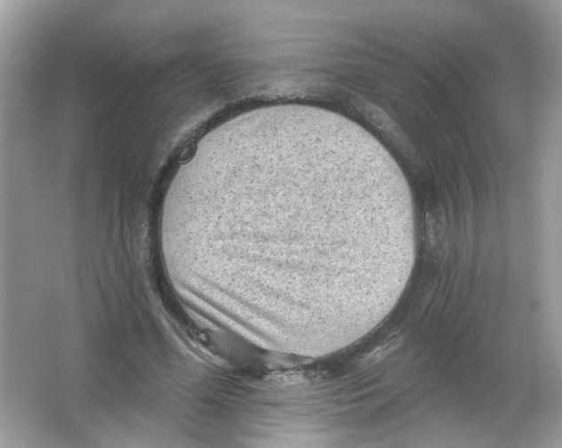 X0000065970588200603241915