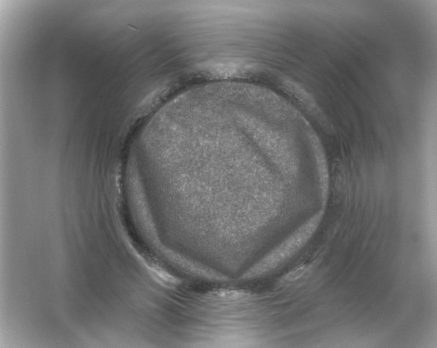 X0000065970590200603241915