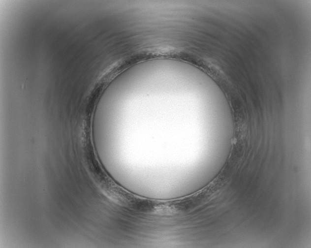 X0000065970591200603241915