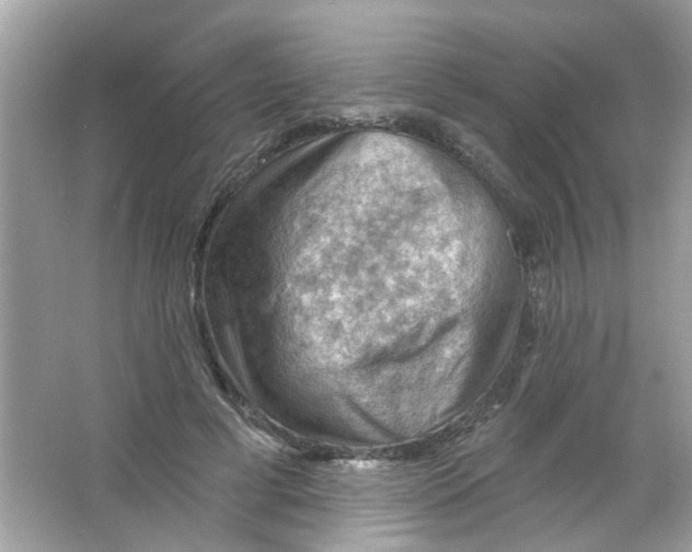 X0000065970593200603241915