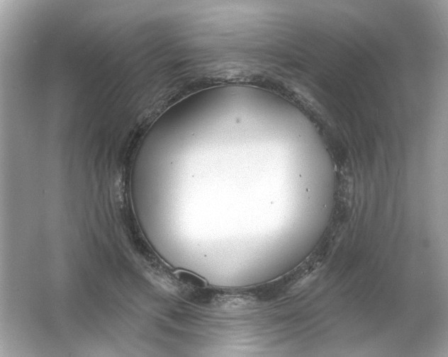 X0000065970597200603241915