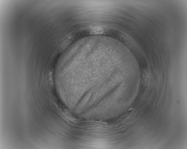 X0000065970598200603241915