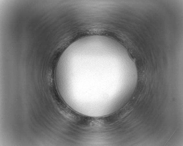 X0000065970599200603241915