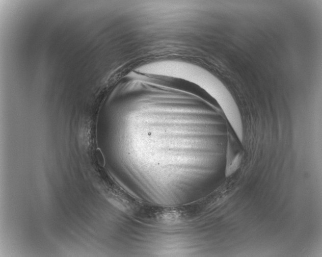 X0000065970600200603241915