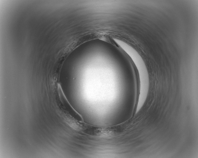 X0000065970601200603241915