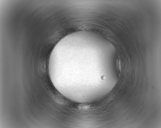 X0000065970602200603241915