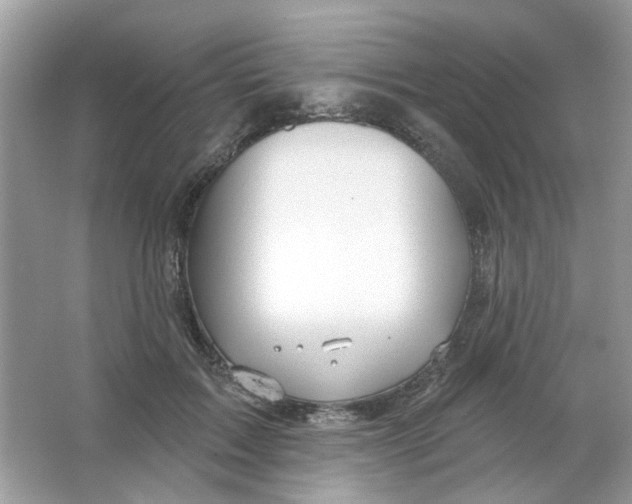 X0000065970603200603241915