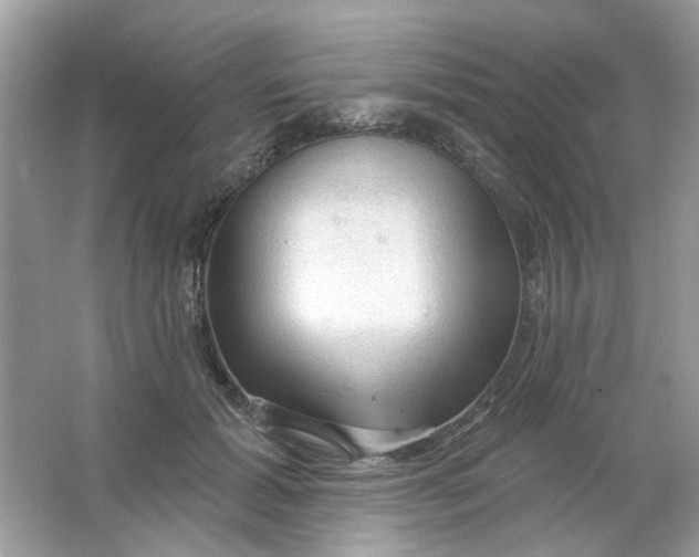 X0000065970605200603241915