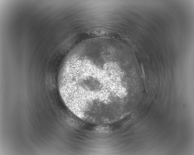 X0000065970606200603241915