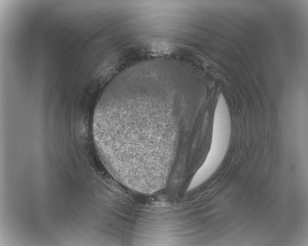 X0000065970608200603241915