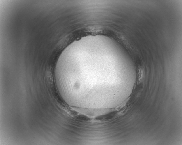 X0000065970609200603241915