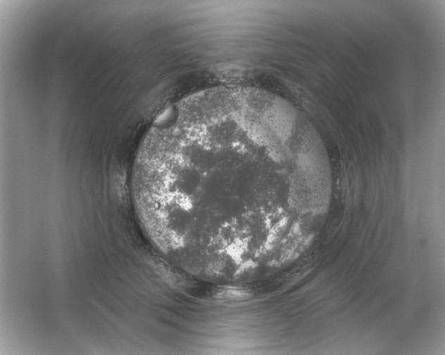 X0000065970610200603241915