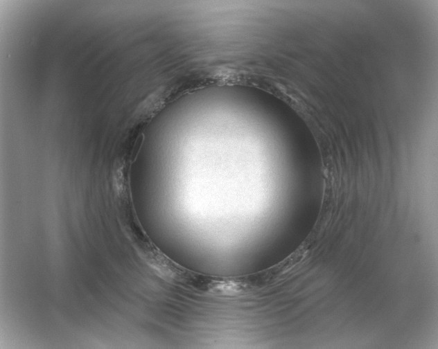 X0000065970611200603241915