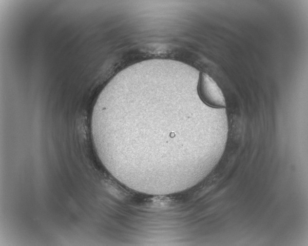 X0000065970612200603241915