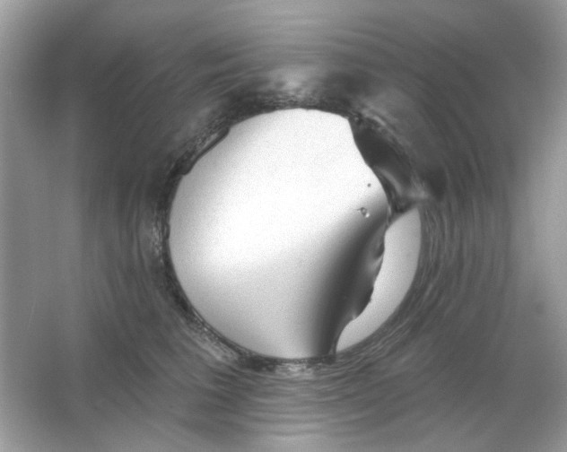 X0000065970613200603241915