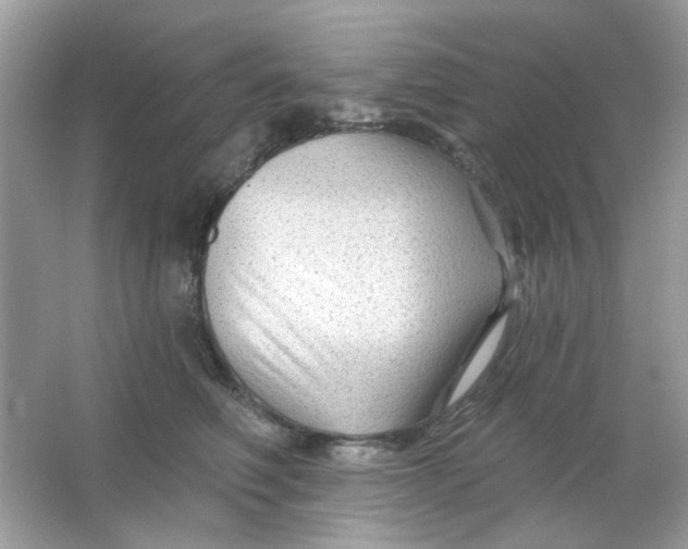 X0000065970614200603241915