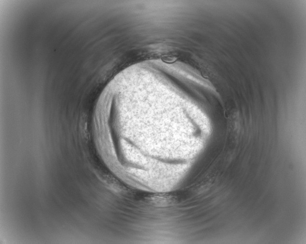 X0000065970615200603241915