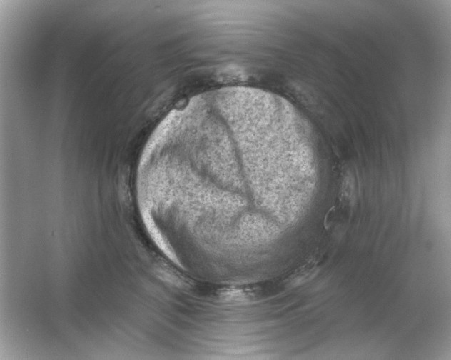 X0000065970616200603241915