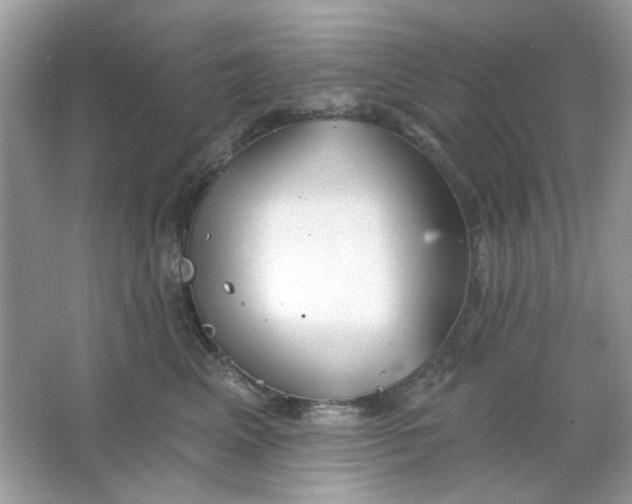 X0000065970617200603241915