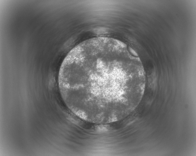 X0000065970618200603241915