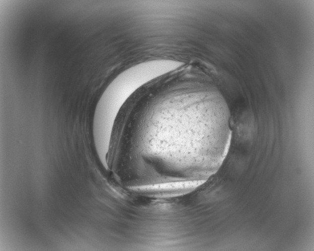 X0000065970620200603241915