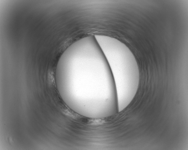 X0000065970621200603241915