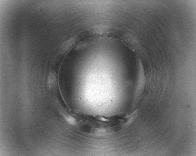 X0000065970623200603241915