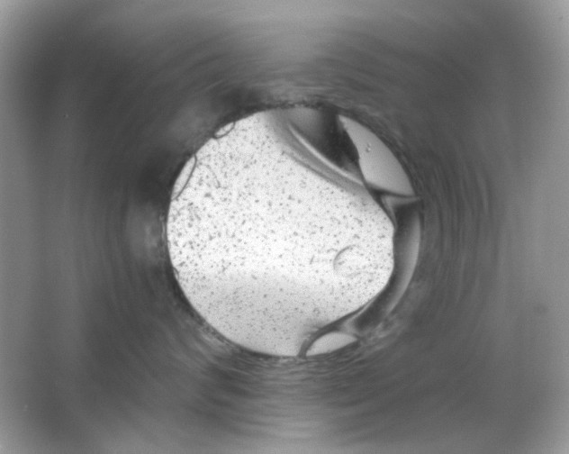 X0000065970624200603241915